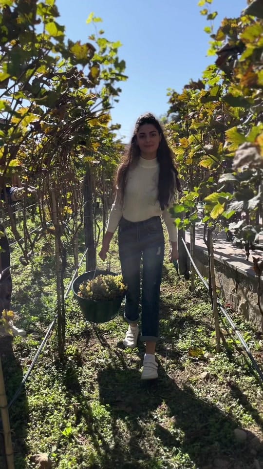 Post 6 by Maks Kovalenko on TikTok (video)