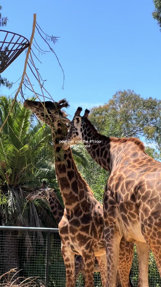 Post 9 by natalie ⭒ travel on TikTok (video)