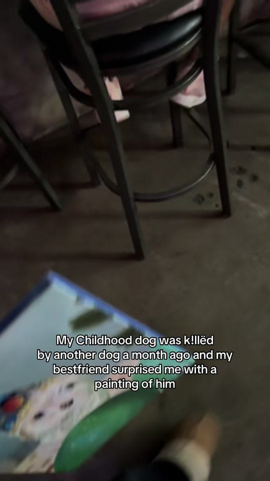 Post 5 by Heidi 🧸 UGC Creator on TikTok (video)
