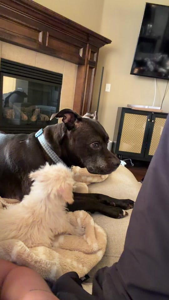 Post 1 by Heidi 🧸 UGC Creator on TikTok (video)