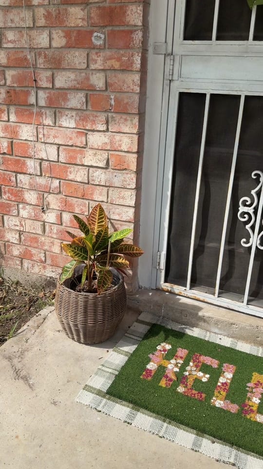 Post 8 by Elizabeth Martinez🗝️ on TikTok (video)