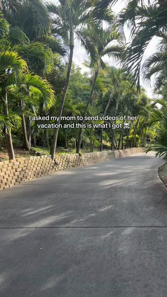 Post 4 by Sydney G 🌼 on TikTok (video)