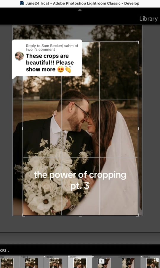 Post 8 by Reagan | TX Photographer on TikTok (video)
