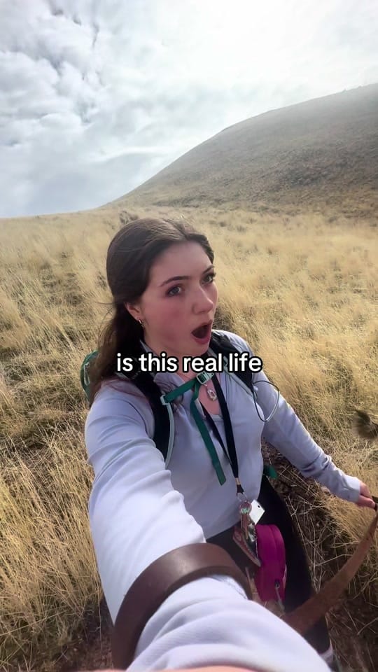 Post 10 by soph 🏔️ on TikTok (video)