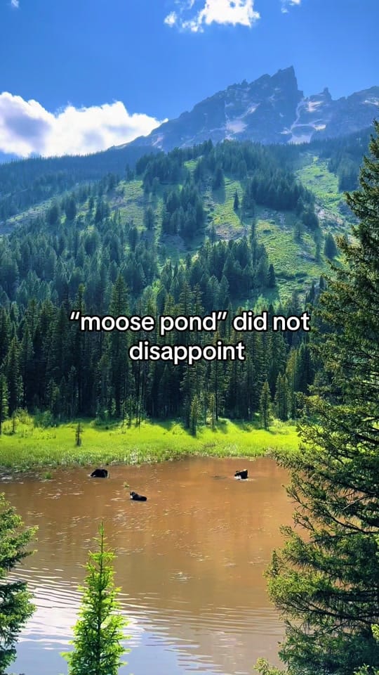 Post 9 by soph 🏔️ on TikTok (video)