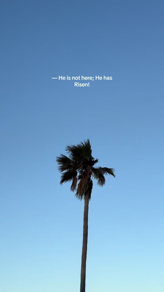 Post 9 by Dylan Nelson on TikTok (video)