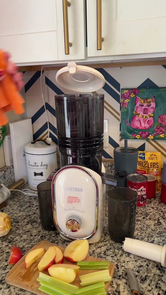 Post 3 by Staciehuckeba on TikTok (video)