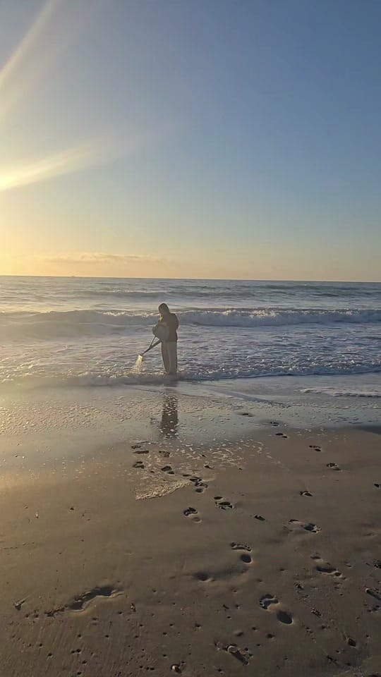 Post 3 by Lauren Linahon on TikTok (video)