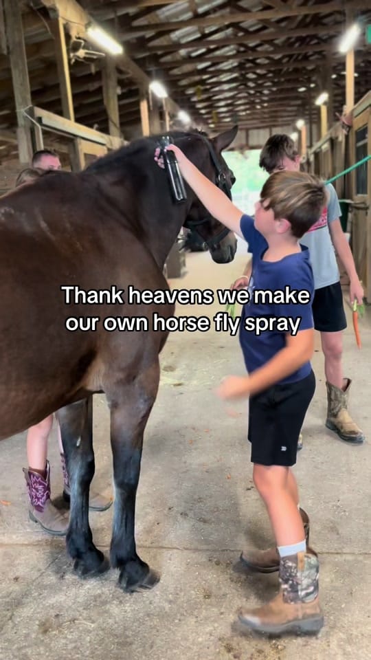 Post 1 by Catherine✨ on TikTok (video)