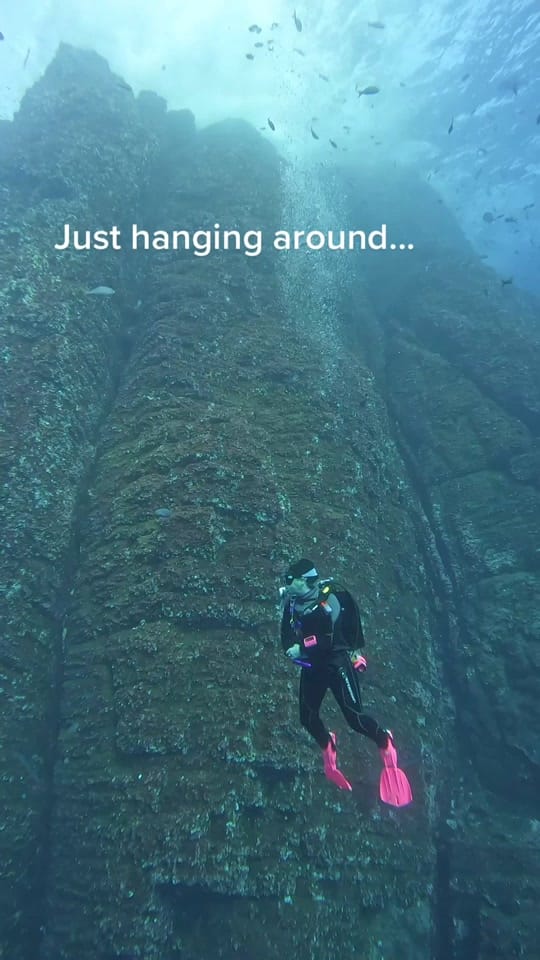 Post 10 by Aggieland Scuba on TikTok (video)