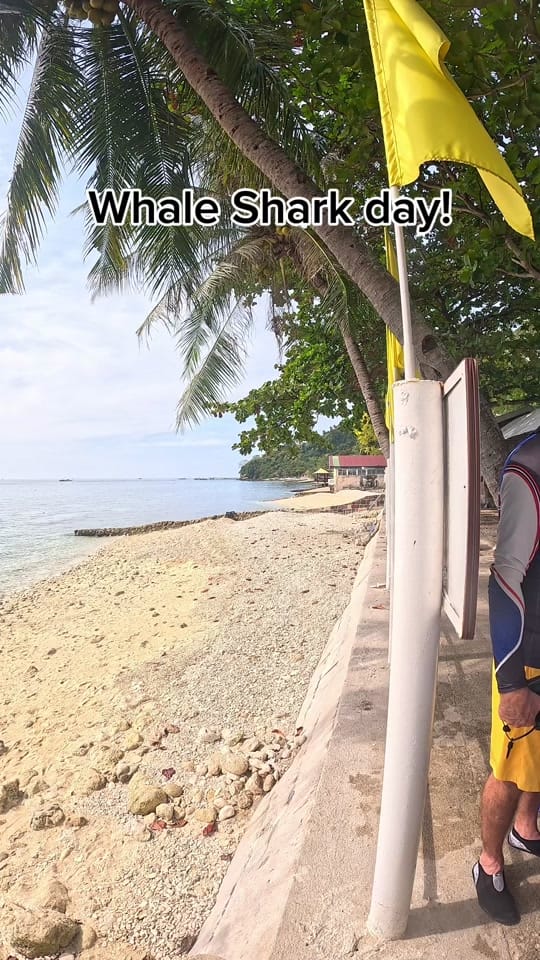 Post 7 by Aggieland Scuba on TikTok (video)