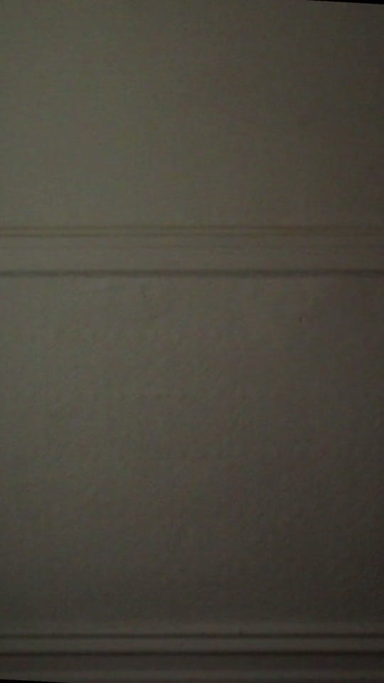 Post 4 by haley | forma floral on TikTok (video)