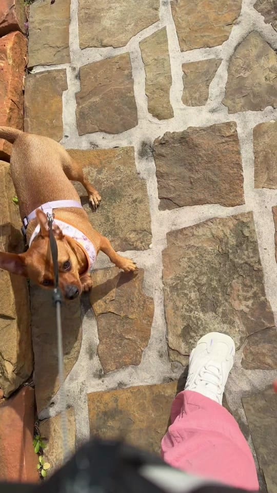 Post 4 by Kathe.Forero on TikTok (video)
