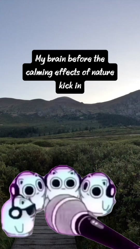 Post 2 by More Dirt More Distance on TikTok (video)