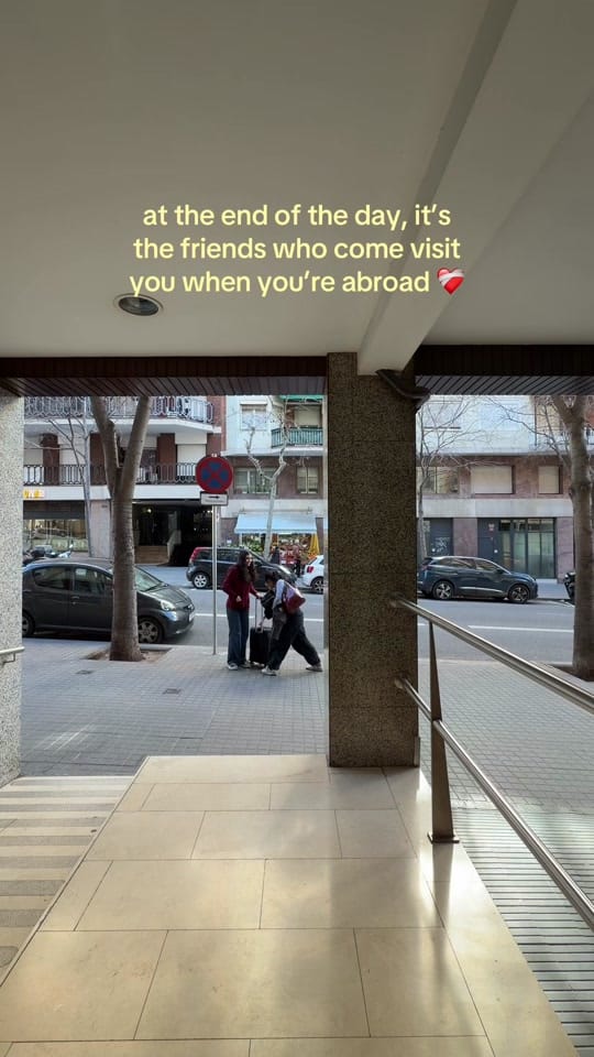 Post 10 by Shelby Roach on TikTok (video)