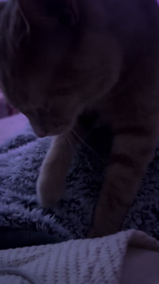Post 3 by ✨ Sonia ✨ on TikTok (video)