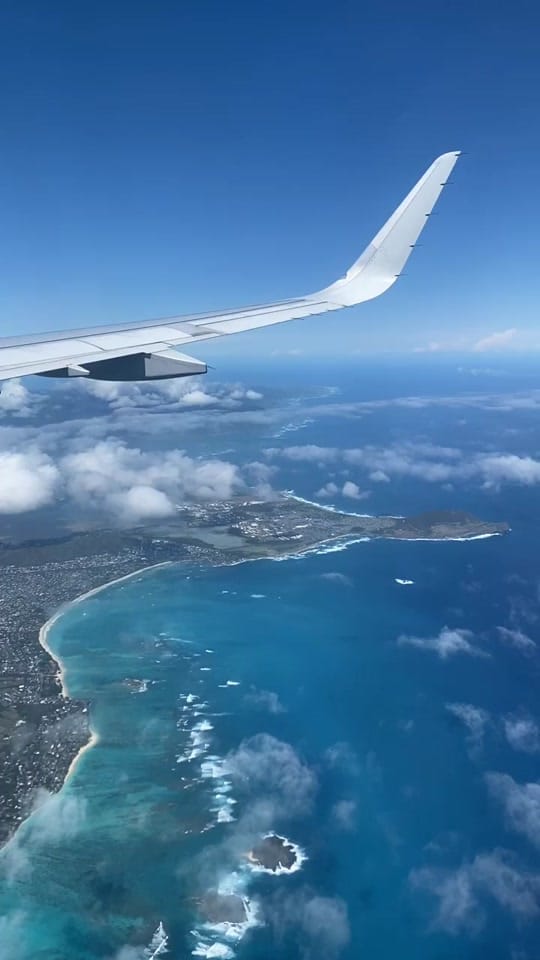 Post 8 by Remy on TikTok (video)