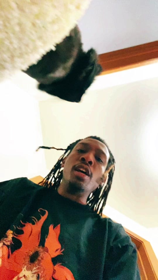 Post 3 by Van Buren on TikTok (video)