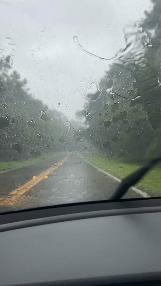Post 10 by Best Of Gainesville on TikTok (video)
