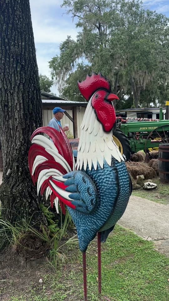 Post 9 by Best Of Gainesville on TikTok (video)