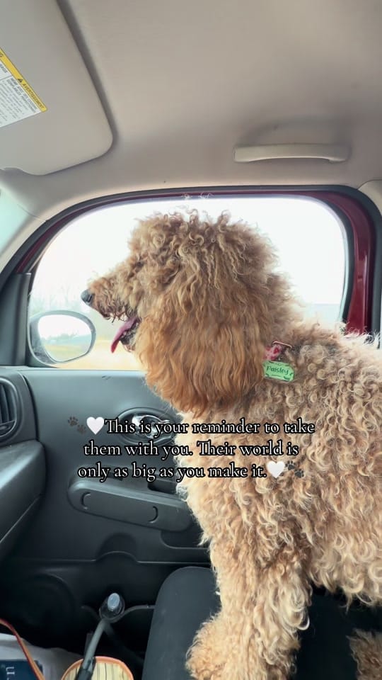 Post 5 by Brandy Nicole on TikTok (video)