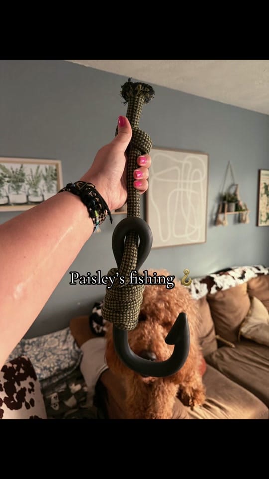 Post 7 by Brandy Nicole on TikTok (video)
