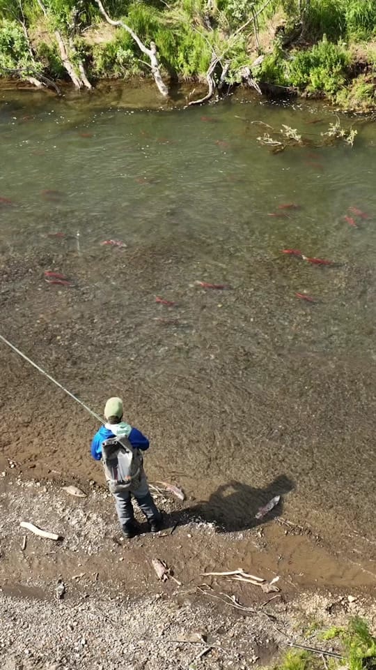 Post 4 by Fly Out Travel on TikTok (video)