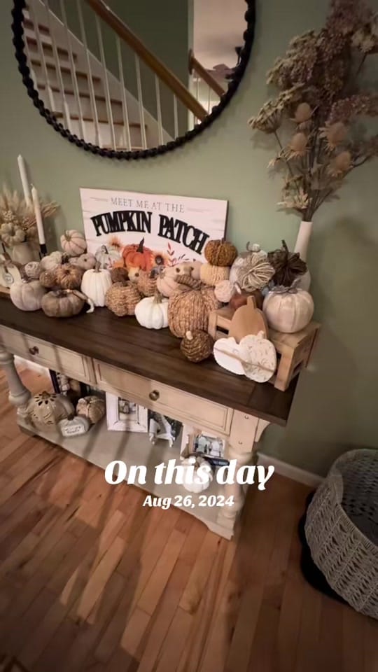 Post 6 by Chelsi Vannatter on TikTok (video)