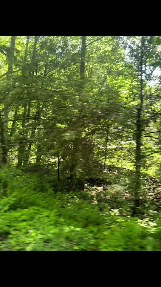 Post 10 by Chelsi Vannatter on TikTok (video)