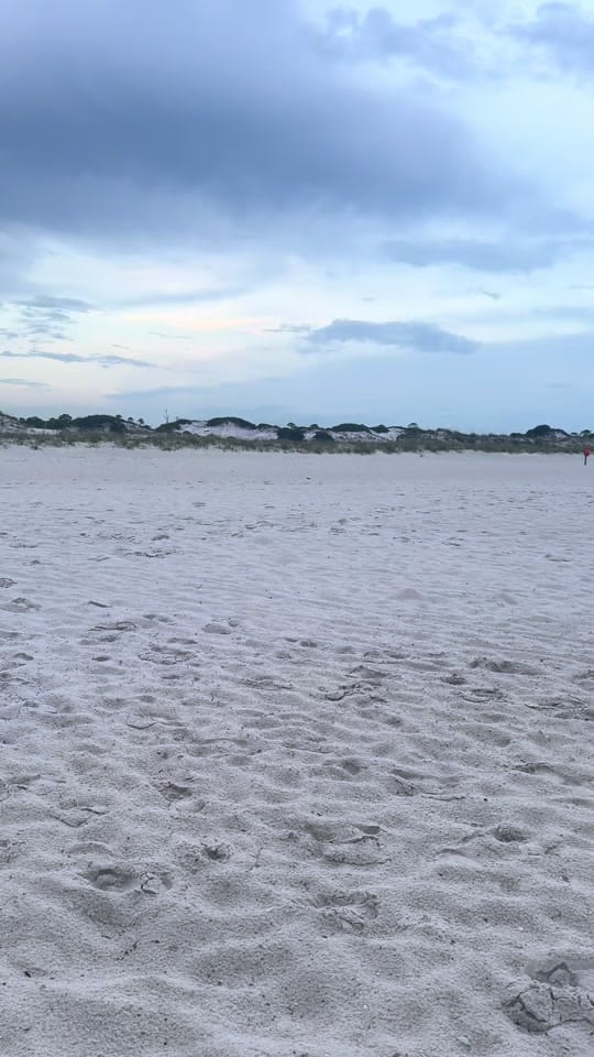 Post 9 by Chelsi Vannatter on TikTok (video)