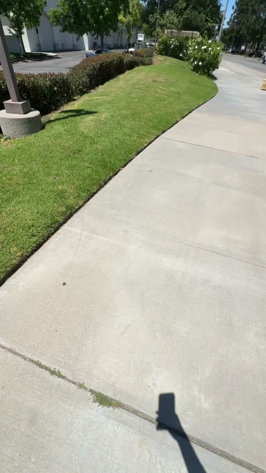Post 8 by Sachi | IG: sachitaaa__ on TikTok (video)