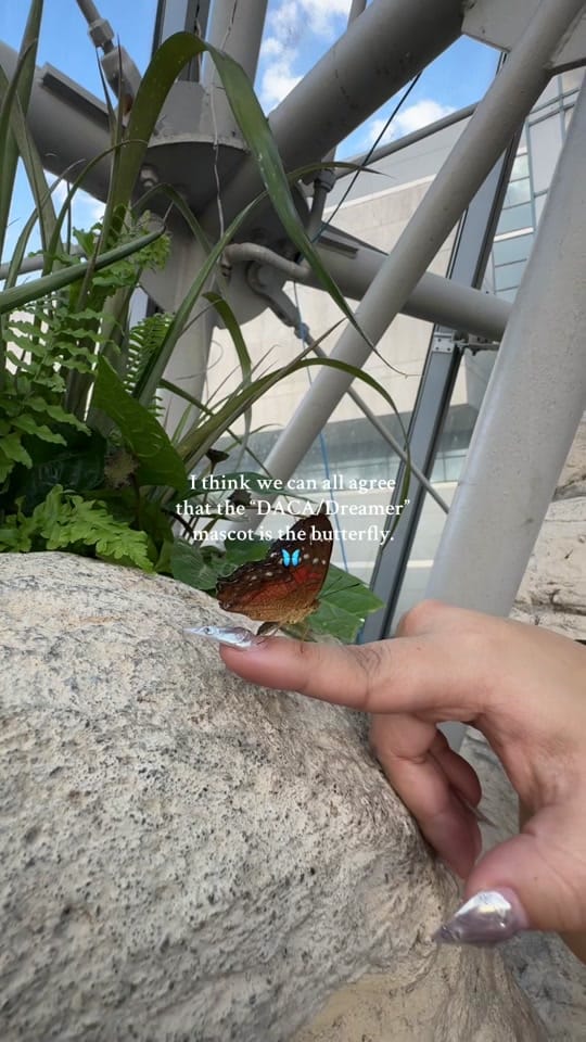 Post 9 by Daniela Kooyip 🦋 on TikTok (video)