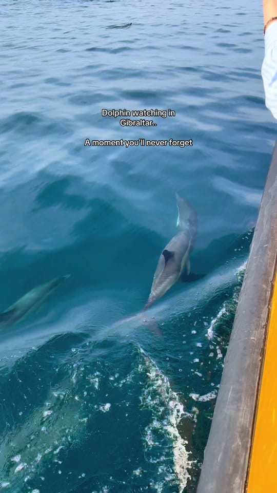 Post 6 by Awen Jones-Spar 🫶🏼✈️💗 on TikTok (video)