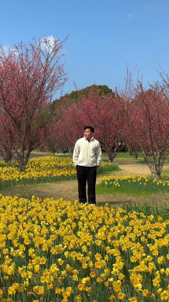 Post 1 by Denver Choi | Solo Travel ✈️ on TikTok (video)