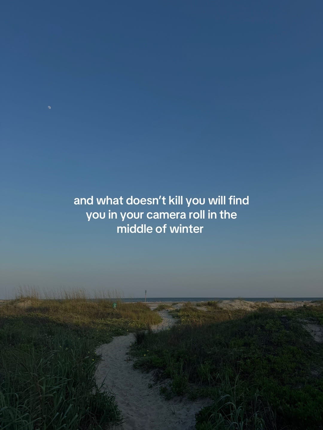 Post 2 by ellie b | photographer on TikTok (video)