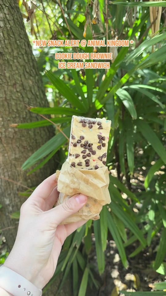 Post 7 by Samantha | Travel Advisor ✨ on TikTok (video)