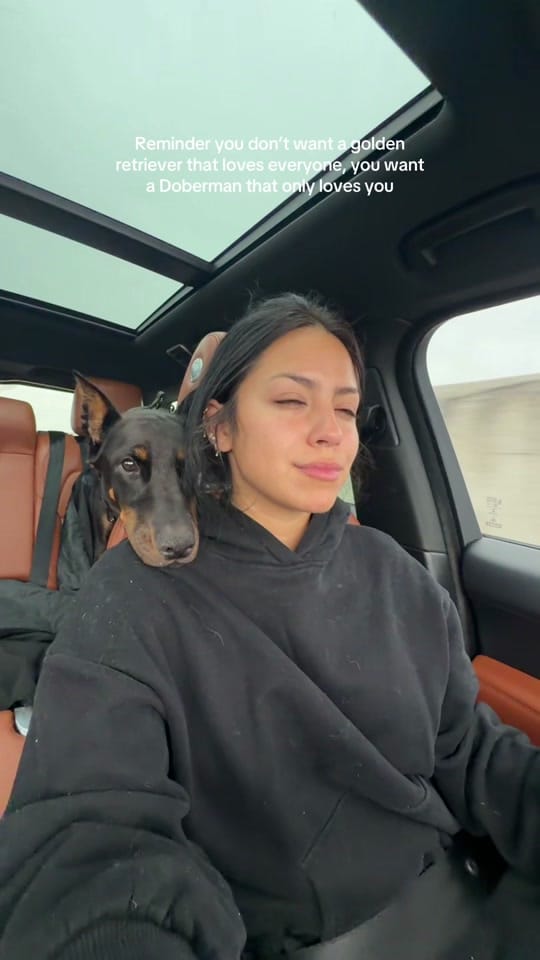 Post 8 by B on TikTok (video)