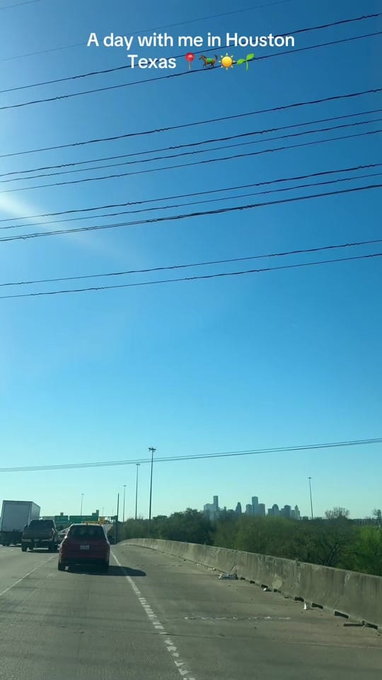 Post 4 by ayalalindsey on TikTok (video)