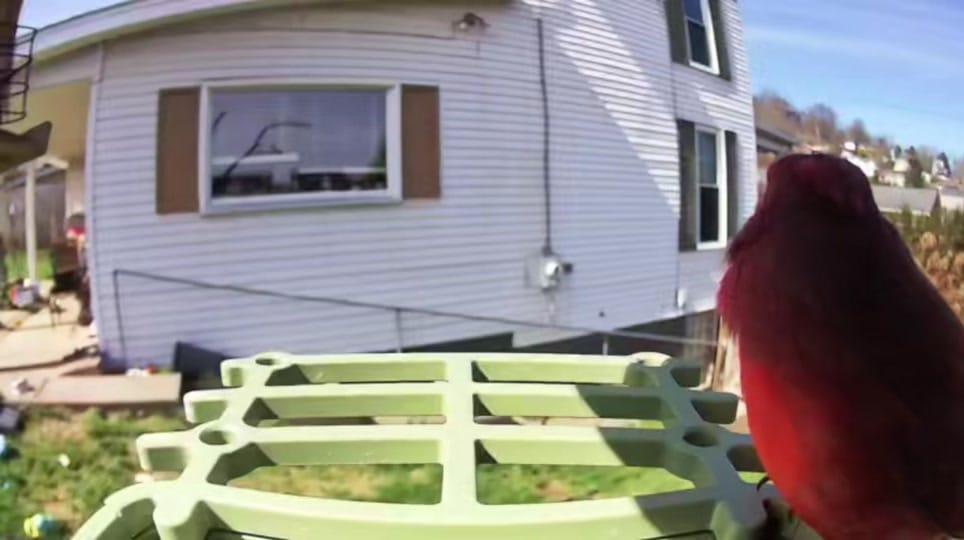 Post 1 by Sydney | Boy Mama | SAHM on TikTok (video)