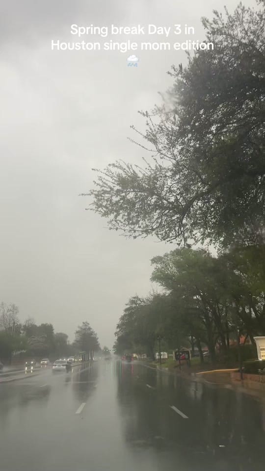 Post 6 by ayalalindsey on TikTok (video)