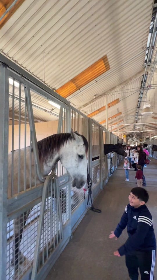 Post 1 by ayalalindsey on TikTok (video)