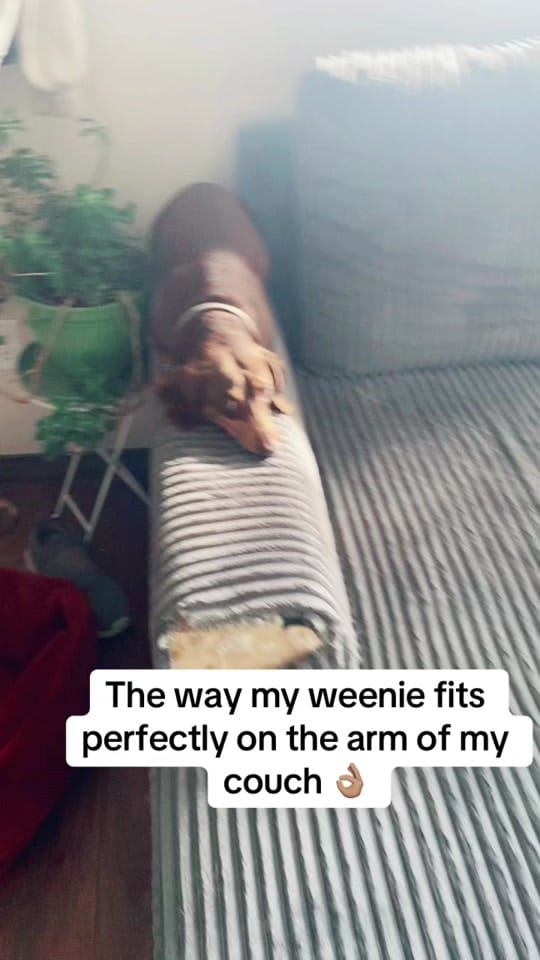 Post 5 by Southdakotmom on TikTok (video)