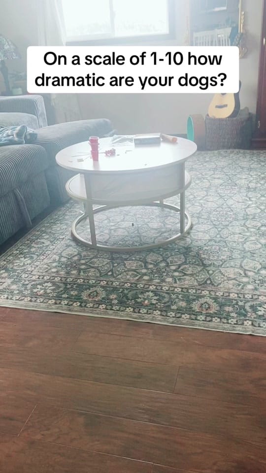 Post 4 by Southdakotmom on TikTok (video)