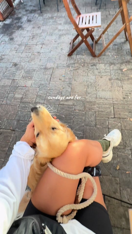Post 4 by lizottedoeslife on TikTok (video)
