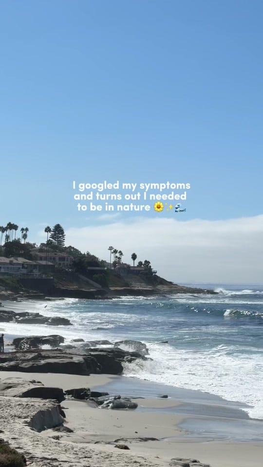 Post 6 by lizottedoeslife on TikTok (video)