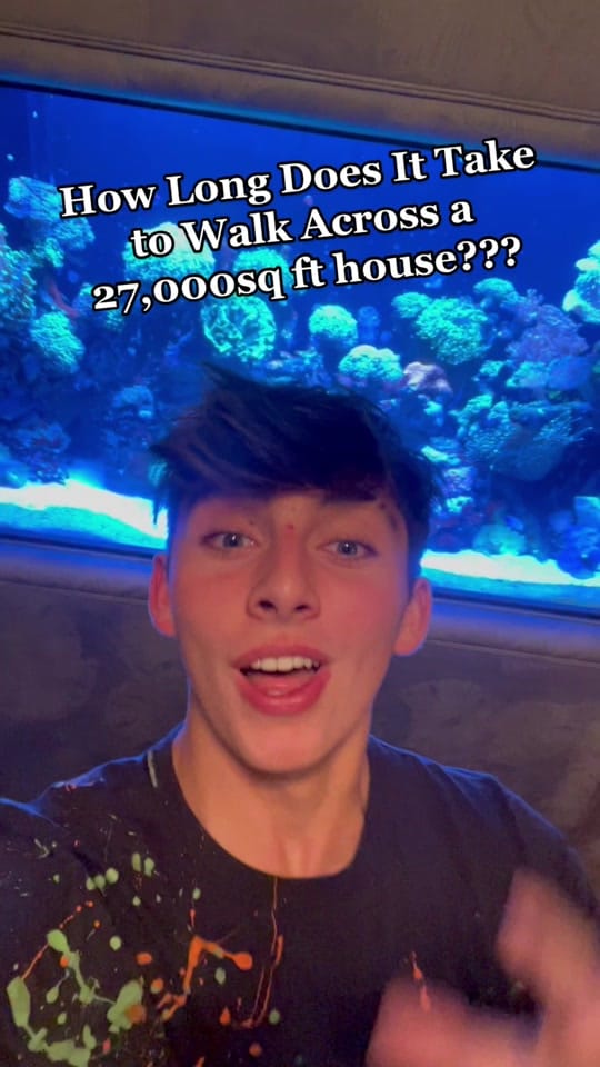 Post 8 by Donlad on TikTok (video)