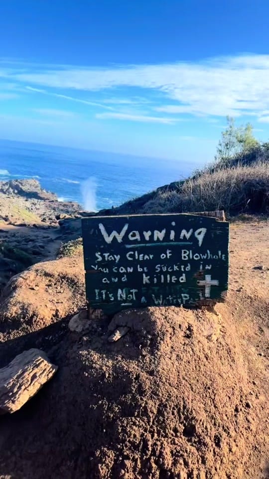 Post 4 by RayRayHarris on TikTok (video)