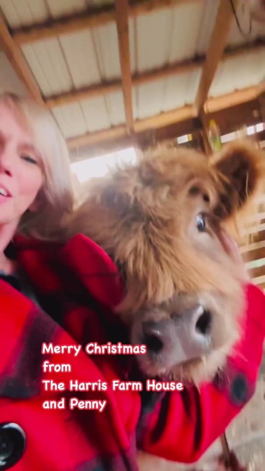 Post 6 by RayRayHarris on TikTok (video)
