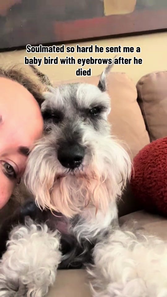 Post 8 by Jen Starr on TikTok (video)