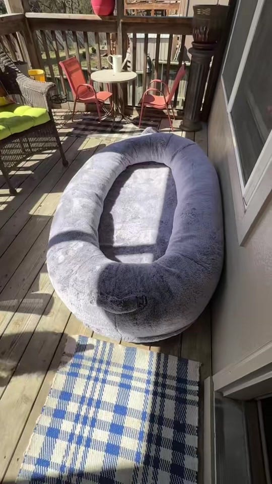 Post 1 by Jen Starr on TikTok (video)